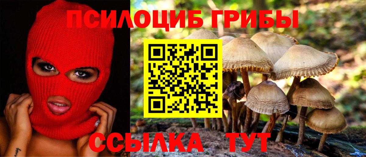 Галлюциногенные грибы GOLDEN TEACHER  Вход с VPN  Галлюциногенные грибы мицелий  Электросталь 