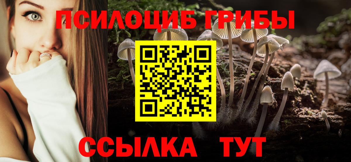 Псилоцибиновые грибы мицелий Электросталь